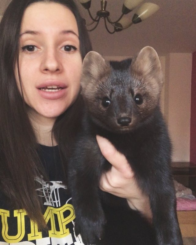 俄罗斯一位叫振亚的姑娘在网上偶然看到了紫貂的照片,就被这个呆萌的