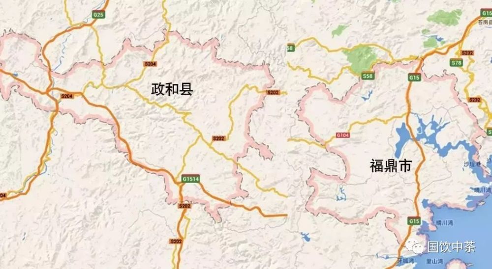带你走进白茶的主产地—福鼎,政和