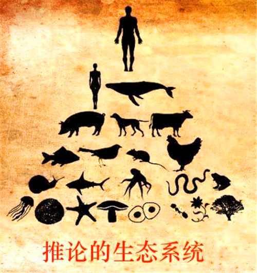 人类真是食物链顶端没天敌科学家提到一动物差点吃光人类祖先