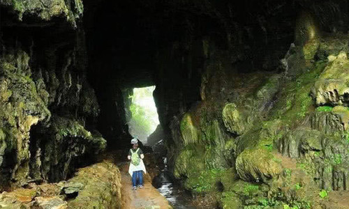 "真龙"现身湖南山洞,长13米,没人敢靠近,专家:已存在上亿年