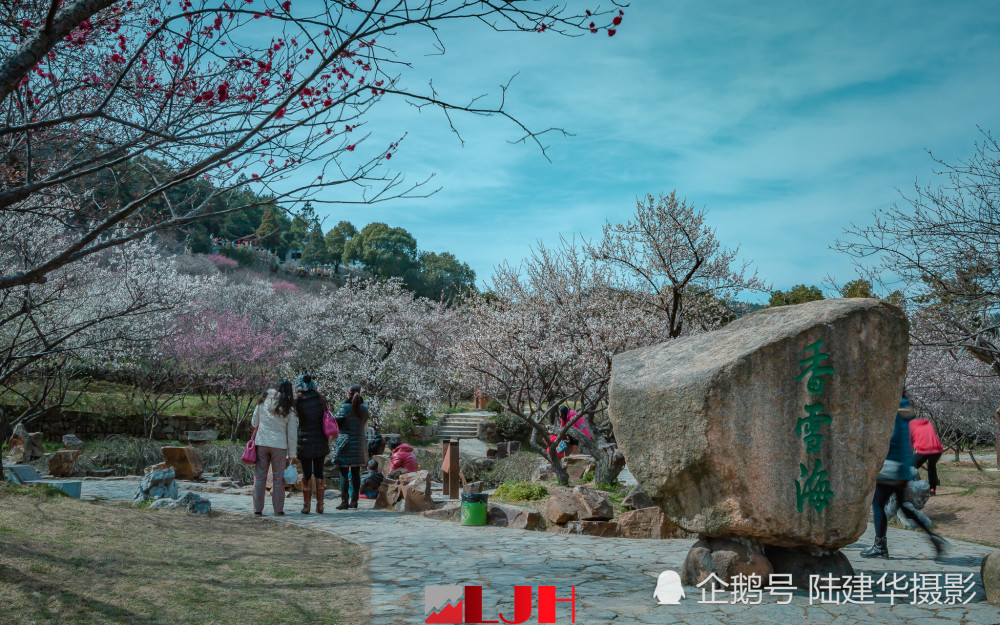 苏州邓尉山香雪海,这里的梅花盛开时如雪花覆盖