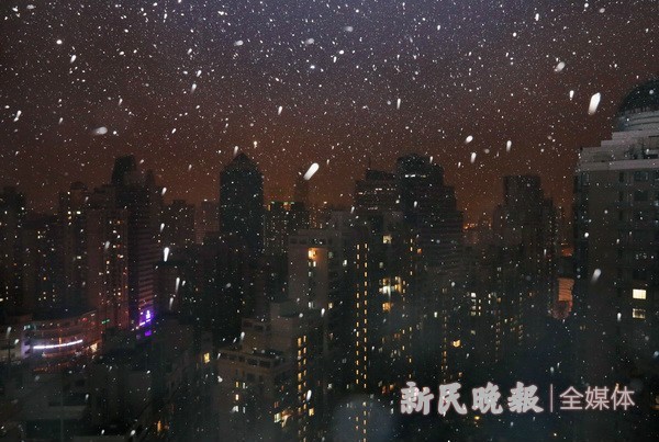 申城迎来2020年第一场雪 战疫风雪夜守候春天的到来