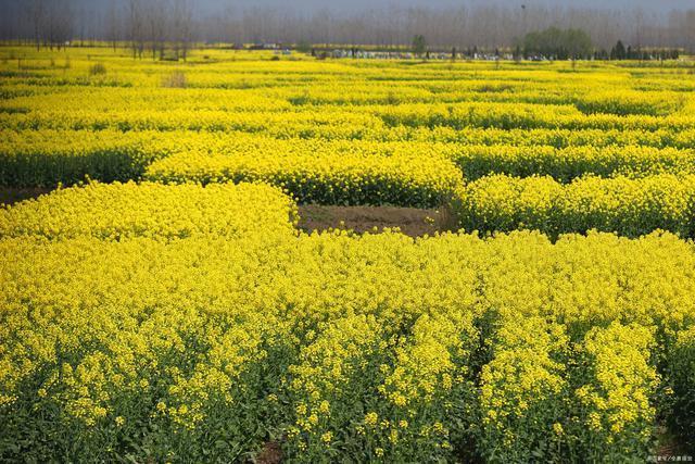 昆明gdp增长率_昆明gdp分布图