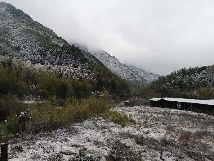 浦城九牧村常住人口_浦城地图