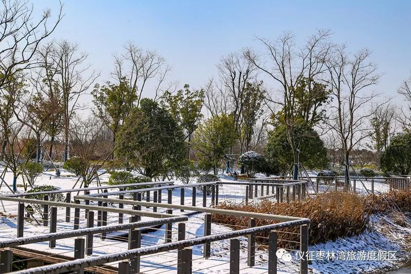 枣林湾园博园 雪景如画 美似仙境 来源:仪征枣林湾旅游度假区