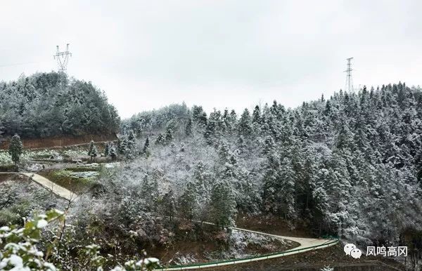 信息来源:凤鸣高冈 雪景(二) 随着冷空气的不断渗入,凤冈县部分地区