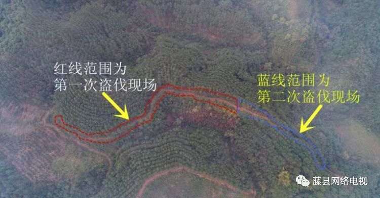 永平镇人口_景谷县永平镇图片(2)