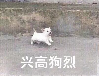 表情包丨你给我老实交代!