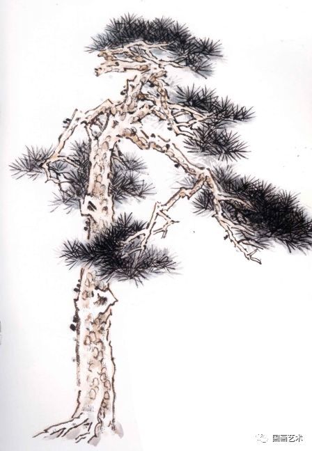 松针画法 1.整棵松树画法:要表现其高大和苍劲,枝干多用方笔勾皴.