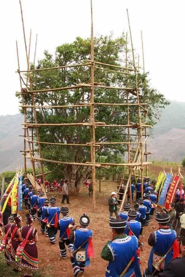 邦崴,位于云南省澜沧拉祜族自治县北部,澜沧富东乡邦崴村.