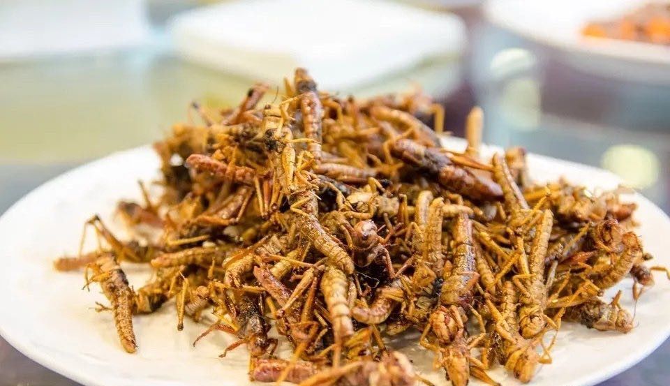 4000亿只东非蝗虫已进入亚洲,正逼近我国!会有威胁吗?