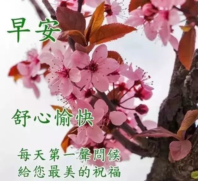 2月18日早安问候语图片动态表情最新版,早上好温馨问候语录图片带字