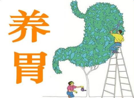 告诉你治胃病最好的药!