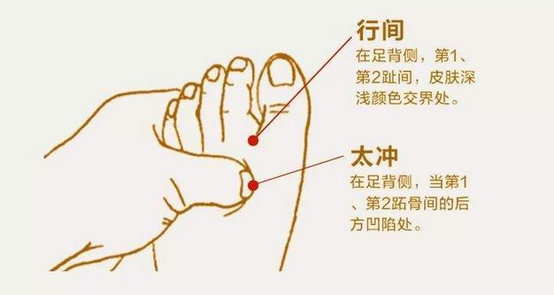 3,太冲穴方法:左手拇指指腹,按揉右太冲穴1分钟,然后推至行间穴,按揉1