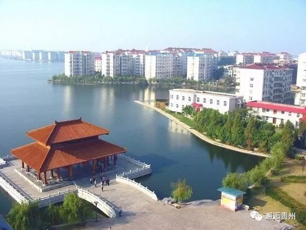 鄂城常住人口_湖北鄂州鄂城菜照片