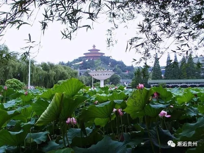 鄂州全市人口_鄂州职业大学