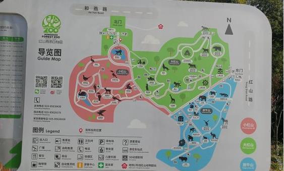 南京红山森林动物园,曾经的"王者景点",现在把自己"玩