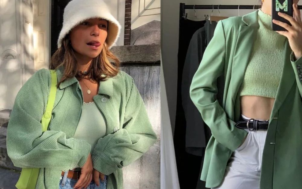 鼠尾草绿 腾讯网