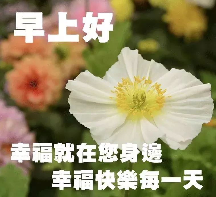 虎年春天4月7日星期四早上好问候语句子漂亮的唯美的周四早上好图片