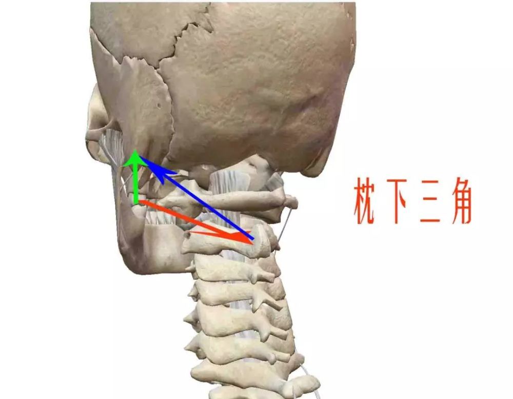 揉点牵抗,眼脊联动——居家放松背部和缓解视疲劳的方法