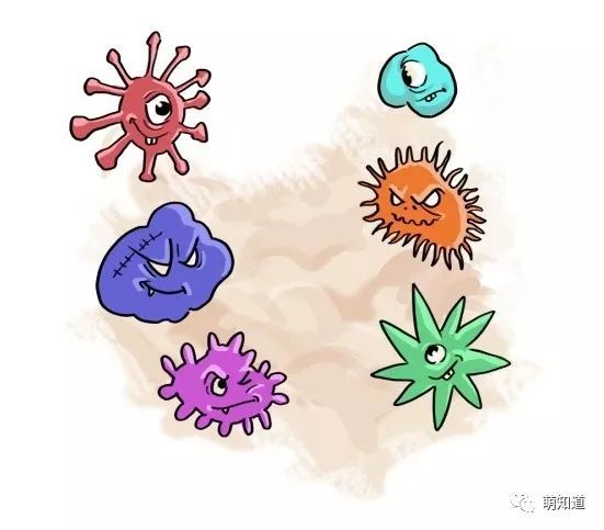 简单易懂告诉您:新型冠状病毒是怎么回事?