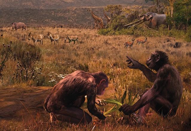 500万年前的原始人怎么也想不到他们后代发展那么好