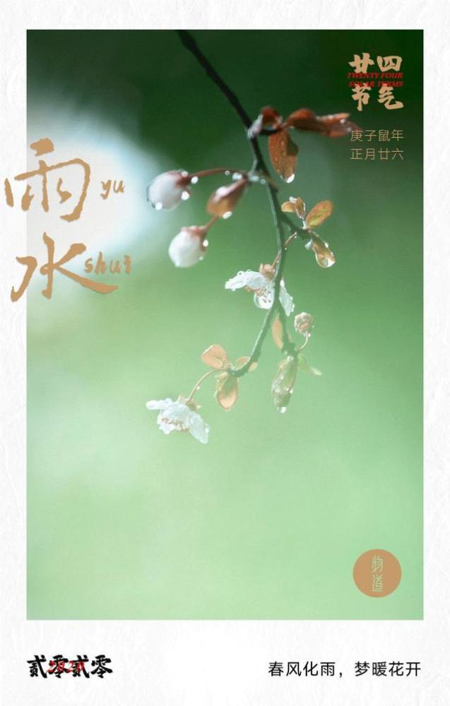 雨水:春风化雨,梦醒花开