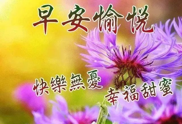 阳光暖心的早安问候祝福语图片,清晨最美早上好问候