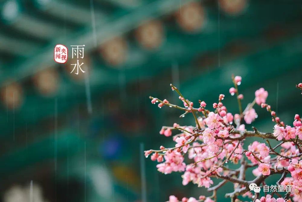 2020年2月19日12时57分迎来雨水节气 七绝 雨水 【宋】刘辰翁 朗诵