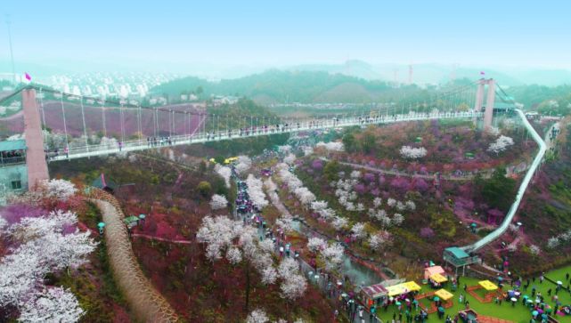 浔龙河对全国医护工作者全年免费开放!