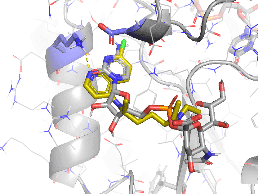 磷酸氯喹治疗新冠肺炎的机理和分子机制探索研究