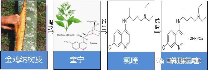 第六版新冠肺炎诊疗方案推荐的抗病毒药—氯喹的"前世今生"