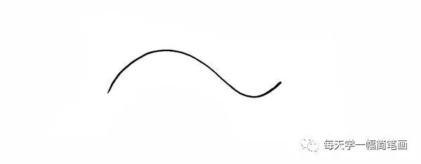 1.首先我们画出鲸鱼的身体一条曲线.