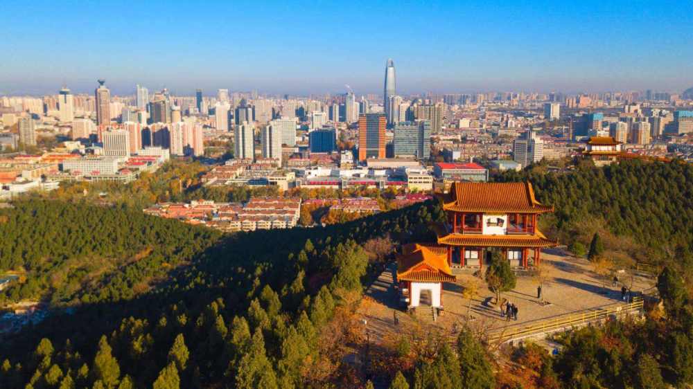 山东经济总量排名2020_山东经济学院牛玉红