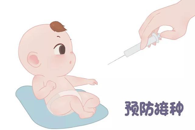 01,卡介苗24小时内接种卡介苗,预防结核病.