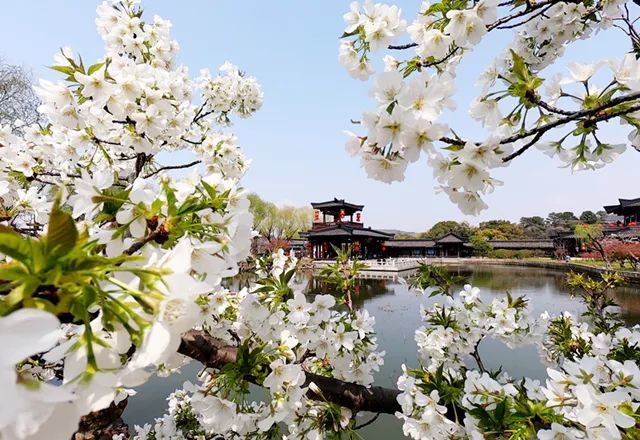 阳山桃花源景区