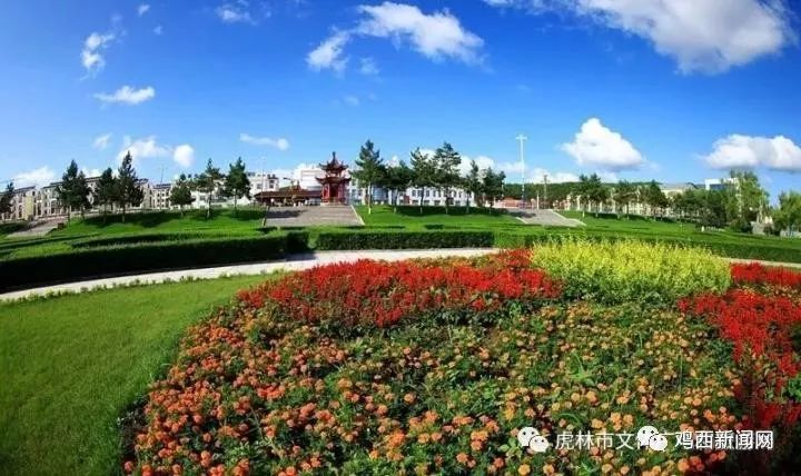 虎林市多少人口_虎林市高级中学
