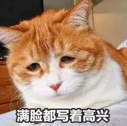 疫情下的当代留学生,真是各有各的花样崩溃