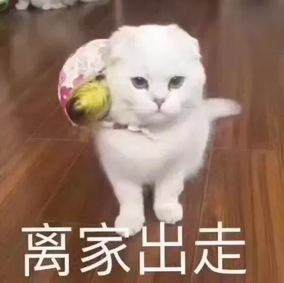 贫困人口表情_贫困人口图片(2)