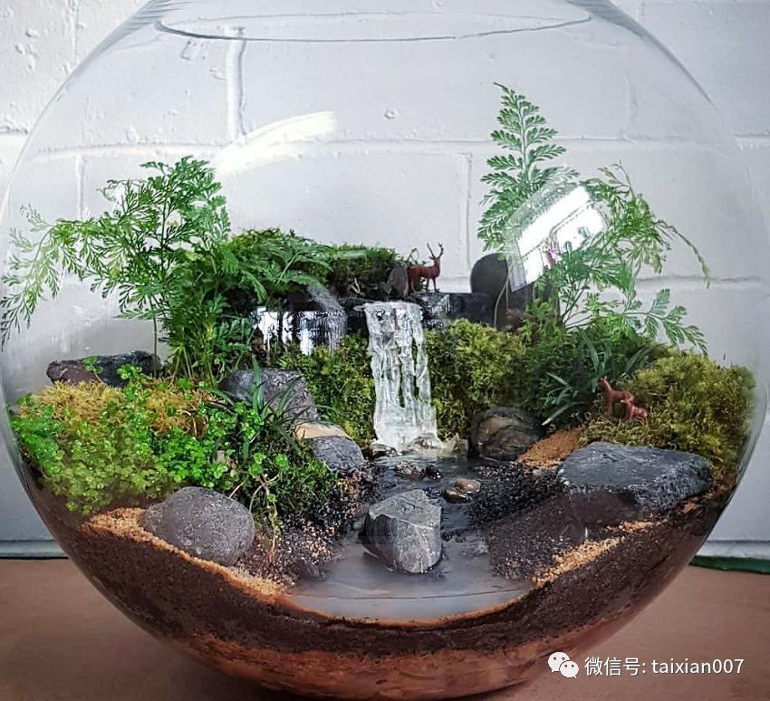 苔藓玻璃瓶微景观作品欣赏