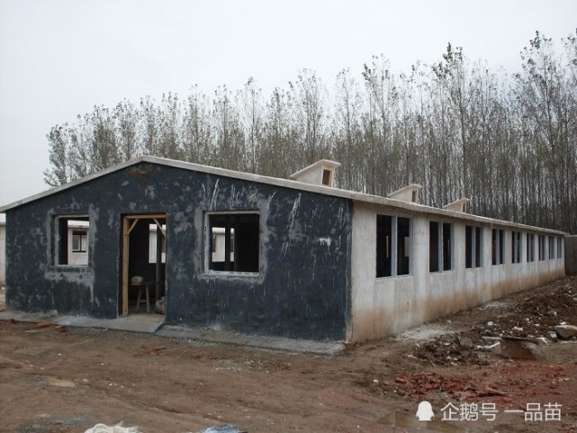 养鸡创业鸡舍建设很重要,教你4个鸡舍建设方法,既实用又节约成本