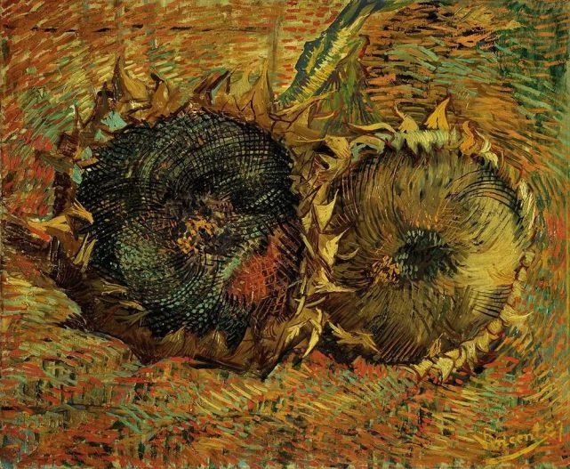 梵高《两朵剪下的向日葵》油画 50x60cm 1887年作于巴黎,瑞士伯尔尼