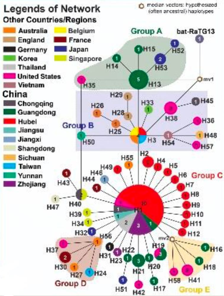 新冠病毒发源地或不是华南海鲜市场,中国科学家通过构建新冠病毒的"