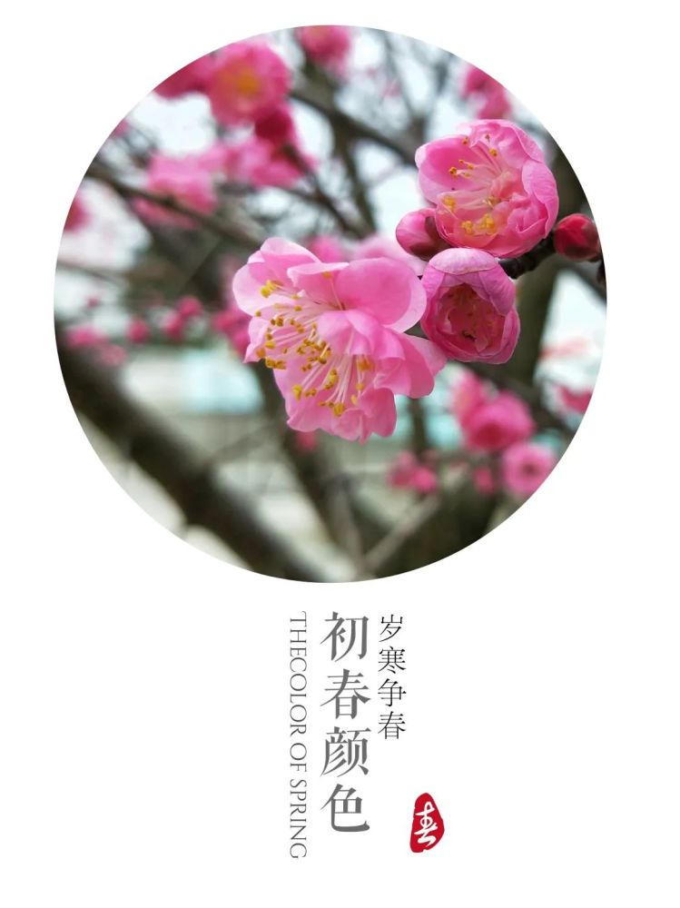 迎接春天的味道~!