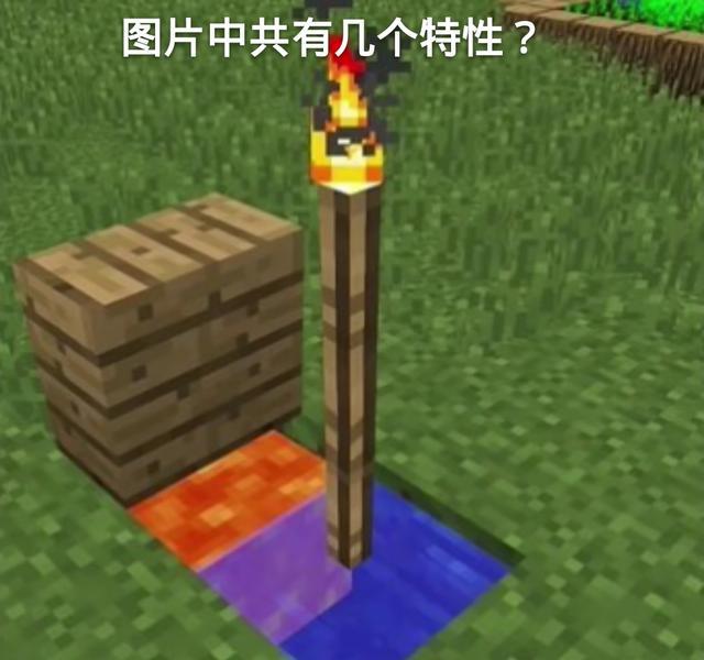 我的世界:让你分不清是真假mc的七个画面,玩家:特性,都是特性