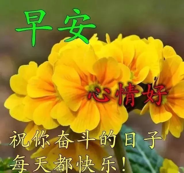 愚人节 清晨问候大家早上好的祝福语图片,愚人节 温馨