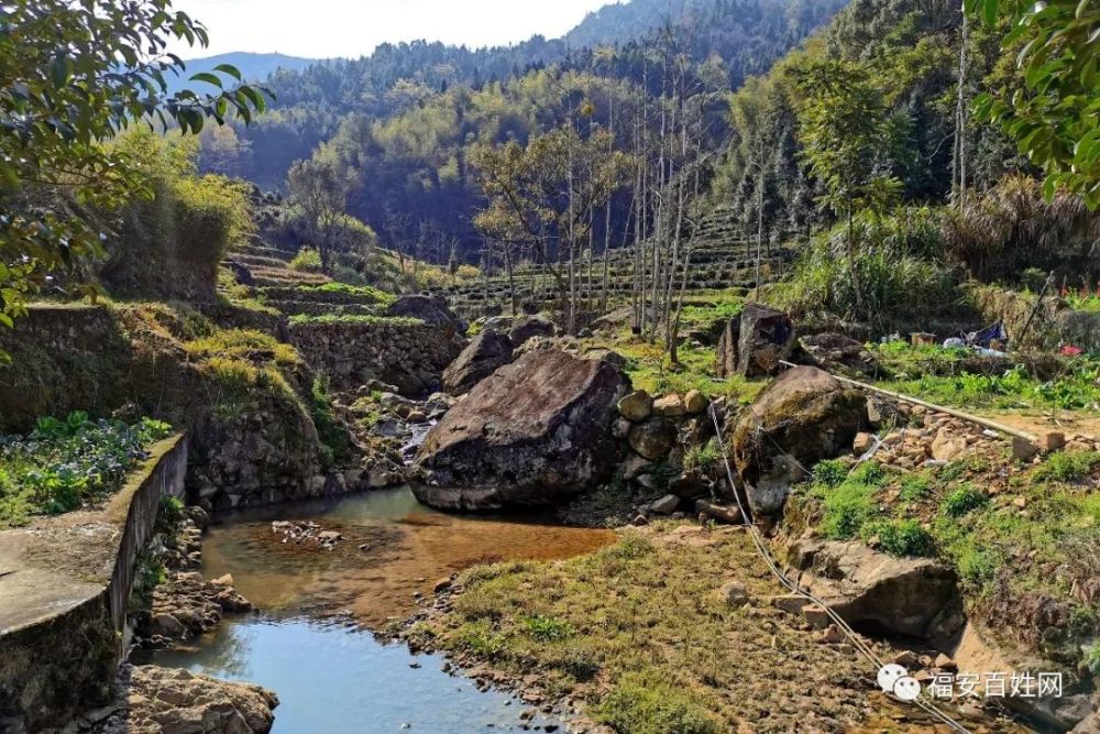 途经福安潭头枢洋村,探寻村后山顶的秘密