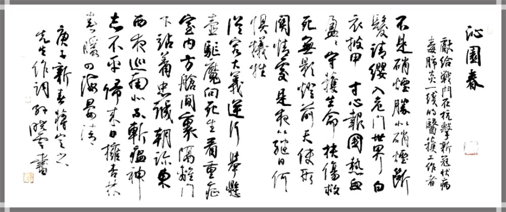 孙晓云为抗疫医护人员写的《沁园春》,传统书法魅力尽显