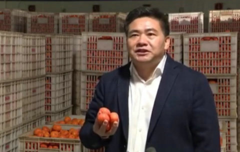 新冠肺炎疫情致蜜桔滞销 江西南丰县长网上"带货"