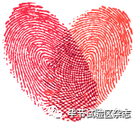 全長48.5公里!畢節(jié)將新建一條高速公路(圖8)